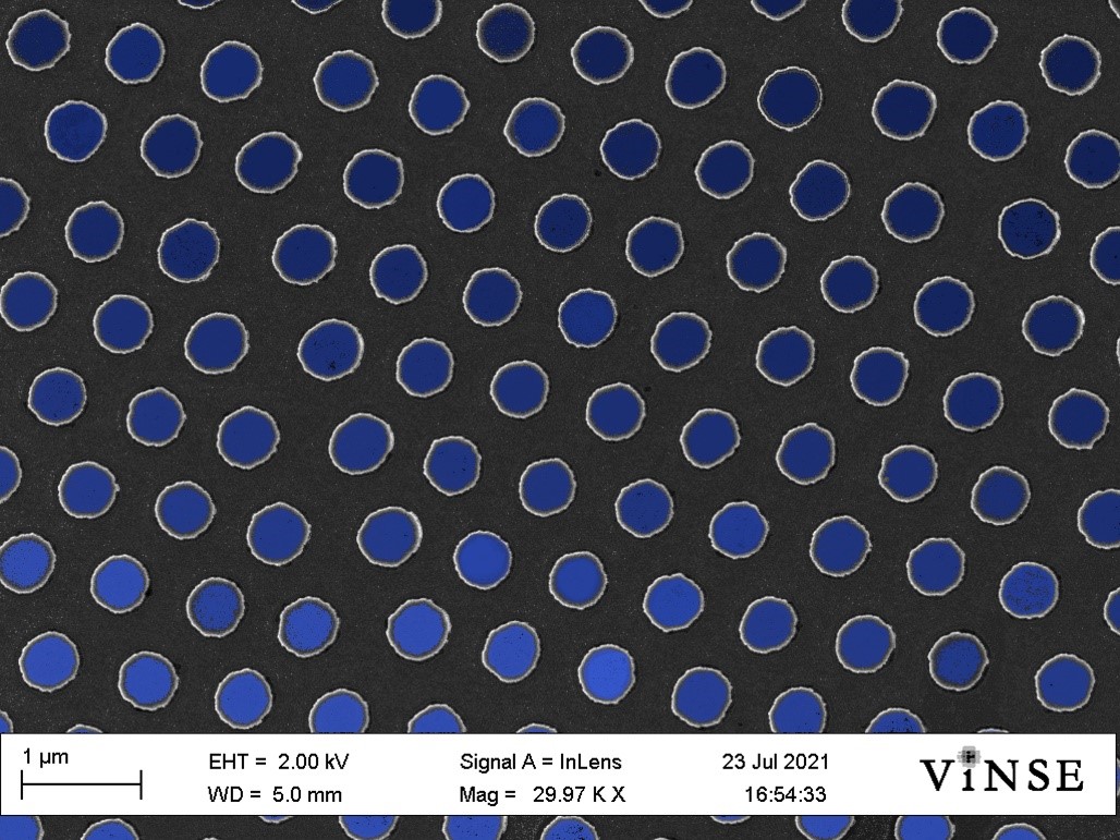 Scanning electron microscope image of an array of nanopillars